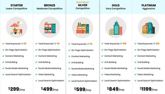 Seo marketing package (bronze)