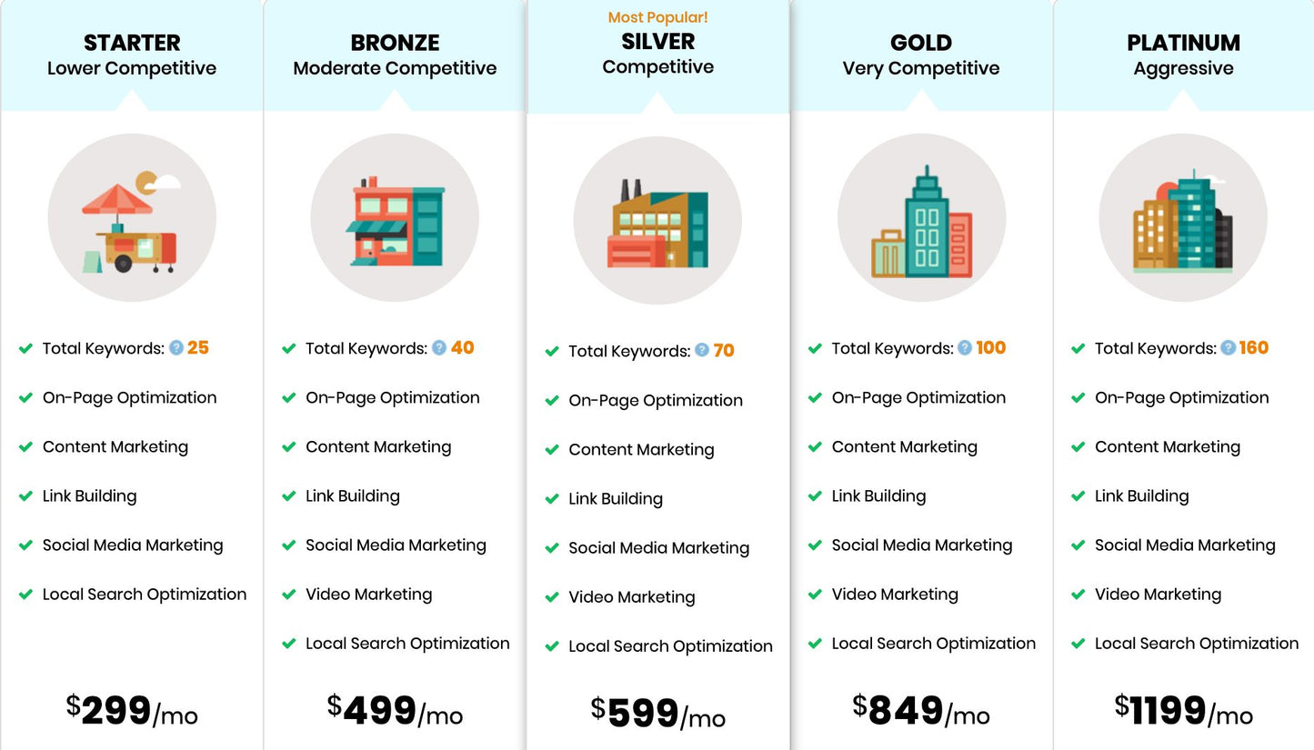Seo marketing package (silver )